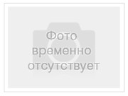 черенки цветов. розница